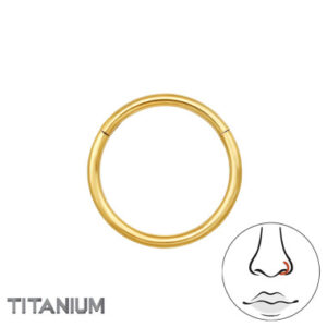 guld næsering i titanium 10 mm