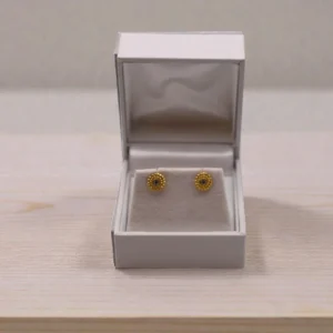 Runde Krystal Ørestikker (Forgyldt)